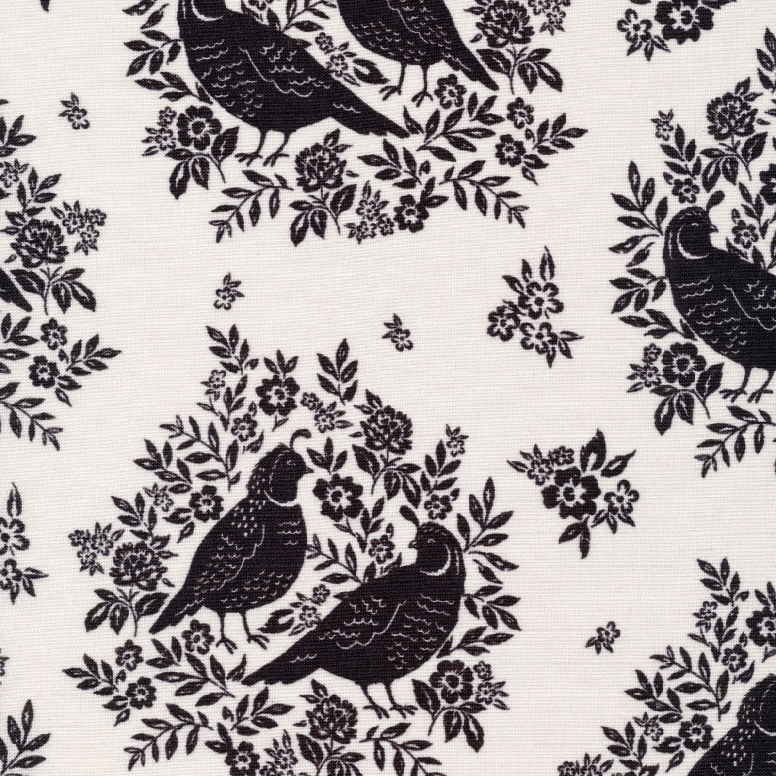 Cloud9 Flora - Quail Lane