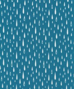 Cloud9  Tiny and Wild  Raindance