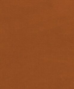 C Pauli  Nicky Stoff - caramel café  - Nicky velours