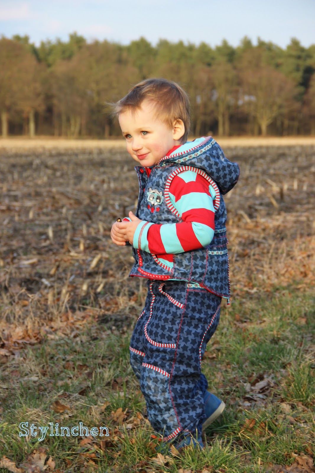 Farbenmix Viktoria | Bodywarmer met capuchon - Afbeelding 4