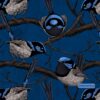Hazeltjes Fairy Wren  organic summersweat