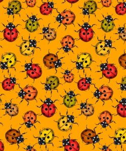 Hazeltjes Ladybird orange  organic summersweat