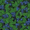 Hazeltjes Blueberry  organic summersweat