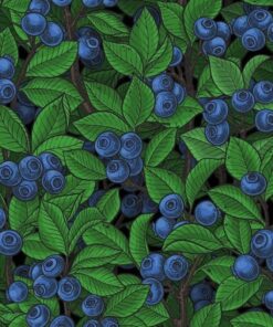 Hazeltjes Blueberry  organic summersweat