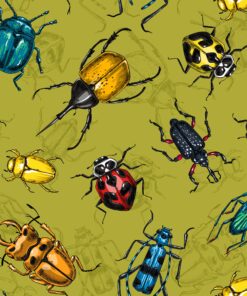 Hazeltjes Beetles Avocado  organic summersweat