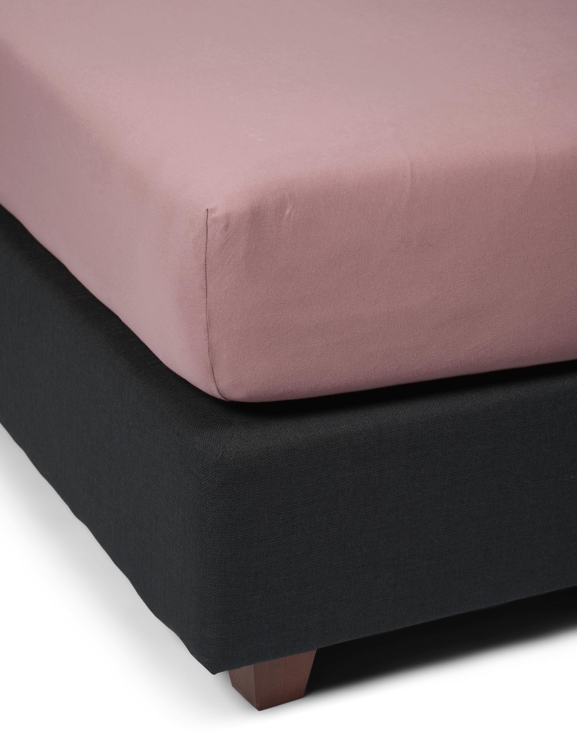 Essenza The Perfect Organic Jersey Hoeslaken Woodrose 180/200x200/220 - Afbeelding 2